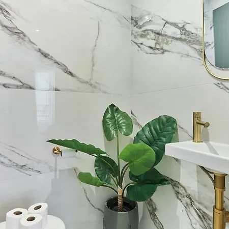 公寓 Champs Elysee Bu Prestige 巴黎